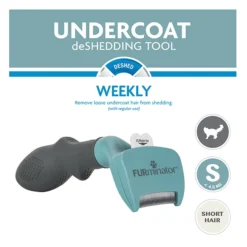 FURminator Brosse à Poils Courts Pour Petits Chats -Trixie Soldes Magasin TH32164 274979 620380d70711d