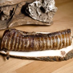 Traveness Trachée De Bœuf 2 Pièces 8 Traveness Trachée De Bœuf 2 Pièces -Trixie Soldes Magasin Traquea 4 62826034c9a43