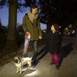 Flexi Vario Led Système De Lumière -Trixie Soldes Magasin U63bd99c2379a48cb8e2bc90f53ddc17cF 63e5a97222c71