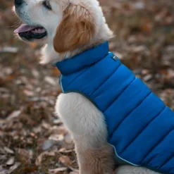 Red Dingo Manteau Réversible Jachet Blue Puffer -Trixie Soldes Magasin VE05050AZ VE05051AZ VE05052AZ VE05053AZ VE05054AZ VE05055AZ 2 637cbcc39bca8