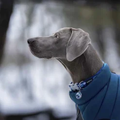 Red Dingo Manteau Réversible Jachet Blue Puffer -Trixie Soldes Magasin VE05050AZ VE05051AZ VE05052AZ VE05053AZ VE05054AZ VE05055AZ 3 637cbcc4dc81a