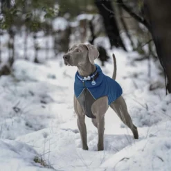 Red Dingo Manteau Réversible Jachet Blue Puffer -Trixie Soldes Magasin VE05050AZ VE05051AZ VE05052AZ VE05053AZ VE05054AZ VE05055AZ 4 637cbcc6550c4