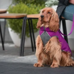 Red Dingo Puffer Buffer Jachet Pourpre Réversible -Trixie Soldes Magasin VE05050MO VE05051MO VE05052MO VE05053MO VE05054MO VE05055MO 2 637cbd1e3b9c8