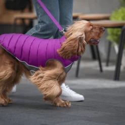 Red Dingo Puffer Buffer Jachet Pourpre Réversible -Trixie Soldes Magasin VE05050MO VE05051MO VE05052MO VE05053MO VE05054MO VE05055MO 4 637cbd1d3ff11