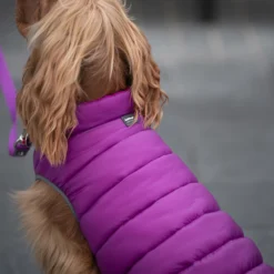 Red Dingo Puffer Buffer Jachet Pourpre Réversible -Trixie Soldes Magasin VE05050MO VE05051MO VE05052MO VE05053MO VE05054MO VE05055MO 5 637cbd1cb505d