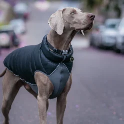 Red Dingo Puffer De Couche Réversible Jachet Black -Trixie Soldes Magasin VE05050NE VE05051NE VE05052NE VE05053NE VE05054NE VE05055NE 2 637cbd58e2607