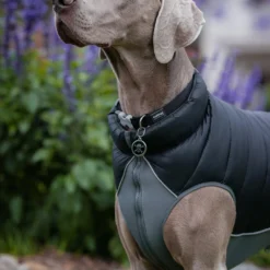 Red Dingo Puffer De Couche Réversible Jachet Black -Trixie Soldes Magasin VE05050NE VE05051NE VE05052NE VE05053NE VE05054NE VE05055NE 3 637cbd585e5cf