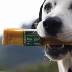 Wild Balance Teether Du Lait Naturel Dans L'Himalaya Avec Curcuma Pour Chiens -Trixie Soldes Magasin Wild Yaky Golden Curcuma barrita leche yak himalaya curcuma 3 620cf10a28393