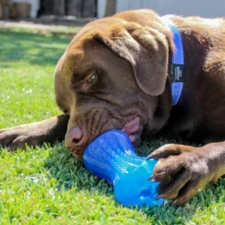 Rogz Jouet De Dentition Yumz Blue 5 Rogz Jouet De Dentition Yumz Blue -Trixie Soldes Magasin YumzBlue mordedor para perro rogz 645237a6a3850