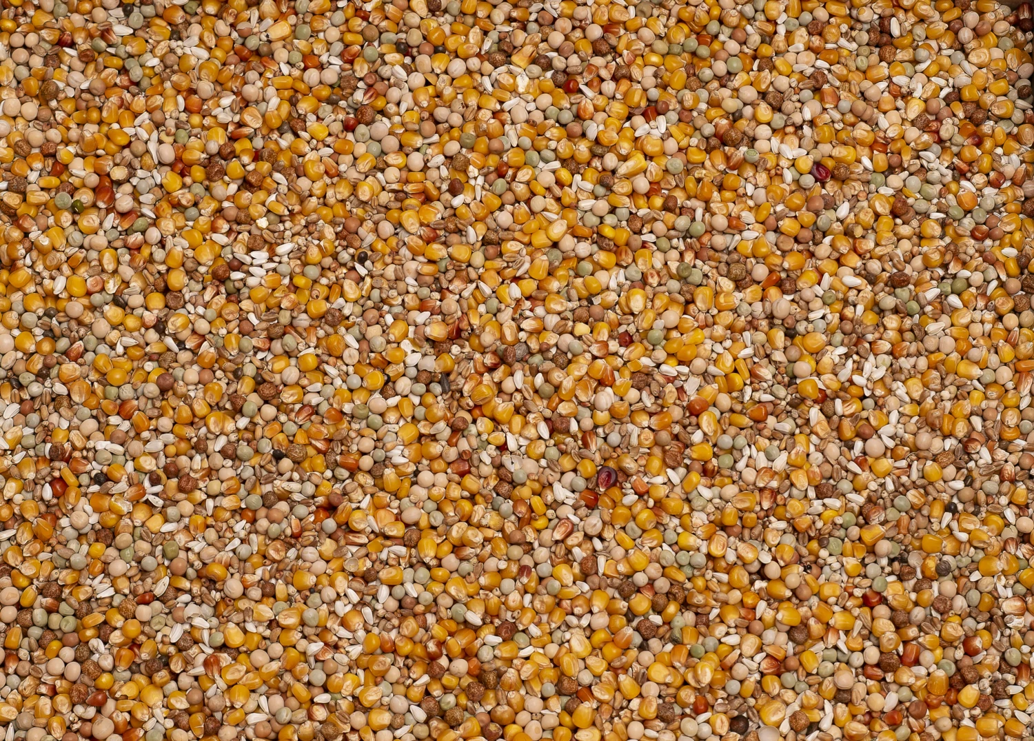 Beyers Original Sport 4 Beyers Original Sport – Image 2