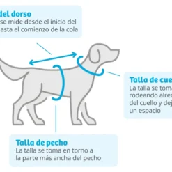 Kruuse Manteau Pour Chien Gris Actif Buster -Trixie Soldes Magasin abrigo para perros buster active gris 2