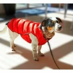 Kruuse Manteau Pour Chien Buster Active Rouge -Trixie Soldes Magasin abrigo para perros rojo buster active 632da7a335d74