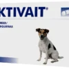 VetPlus Aktivait Pour La Fonction Cérébrale Des Petits Chiens Âgés -Trixie Soldes Magasin aktivait para funcion cerebral en perros pequenos mayores 1