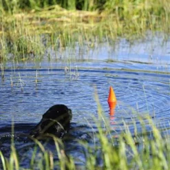 Chuckit! Chuckit Aileron De Requin Flottant Pour Chiens -Trixie Soldes Magasin aleta naranja juguete perro 63e3662a0d17d