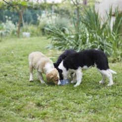 HPM Veterinary Junior Special Large -Trixie Soldes Magasin alimentacion cachorro 82605 64257ea2ced79