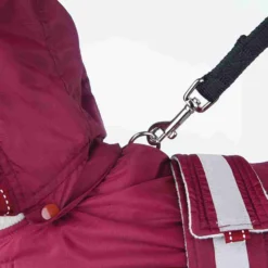 Trixie Cape Iseo Bordeaux -Trixie Soldes Magasin apertura para la correa 633319c911fdc