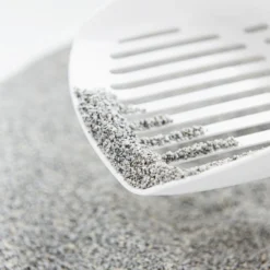 Intersand Litière Agglomérante Pour Chats Odourlock -Trixie Soldes Magasin arenas odourlock 6380b1b58ed61