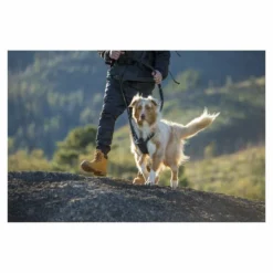 Rogz Arnés Explore -Trixie Soldes Magasin arnes explore para perro 63f4b7e7b98fc