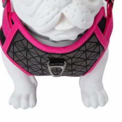 Freedog Harnais Boreal Fuchsia -Trixie Soldes Magasin arnes frontal boreal fucsia 64772dc12fc67