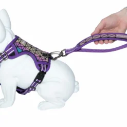 Freedog Arnés Boreal Lila 25mm Cuello 43-65cm Pecho 45-90cm 6 Freedog Arnés Boreal Lila 25mm Cuello 43-65cm Pecho 45-90cm -Trixie Soldes Magasin arnes lila boreal freedog 64773400c7bd1