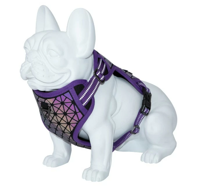 Freedog Arnés Boreal Lila 25mm Cuello 43-65cm Pecho 45-90cm 3 Freedog Arnés Boreal Lila 25mm Cuello 43-65cm Pecho 45-90cm