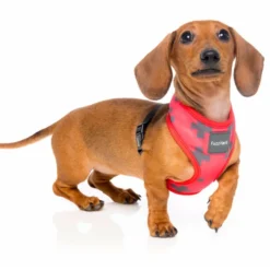 FuzzYard Harnais El Fuego Yeezy Pour Chiens -Trixie Soldes Magasin arnes para perro el fuego yeezy 2