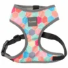 FuzzYard Harnais Pour Chiens The Hive 2 FuzzYard Harnais Pour Chiens The Hive -Trixie Soldes Magasin arnes para perro the hive 1
