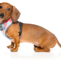 FuzzYard Harnais Pour Chiens The Hive -Trixie Soldes Magasin arnes para perro the hive 2