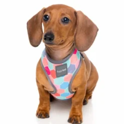 FuzzYard Harnais Pour Chiens The Hive -Trixie Soldes Magasin arnes para perro the hive 4