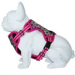 Freedog Harnais Boreal Fuchsia -Trixie Soldes Magasin arnes para perros boreal fucsia 64772d4a1e32c