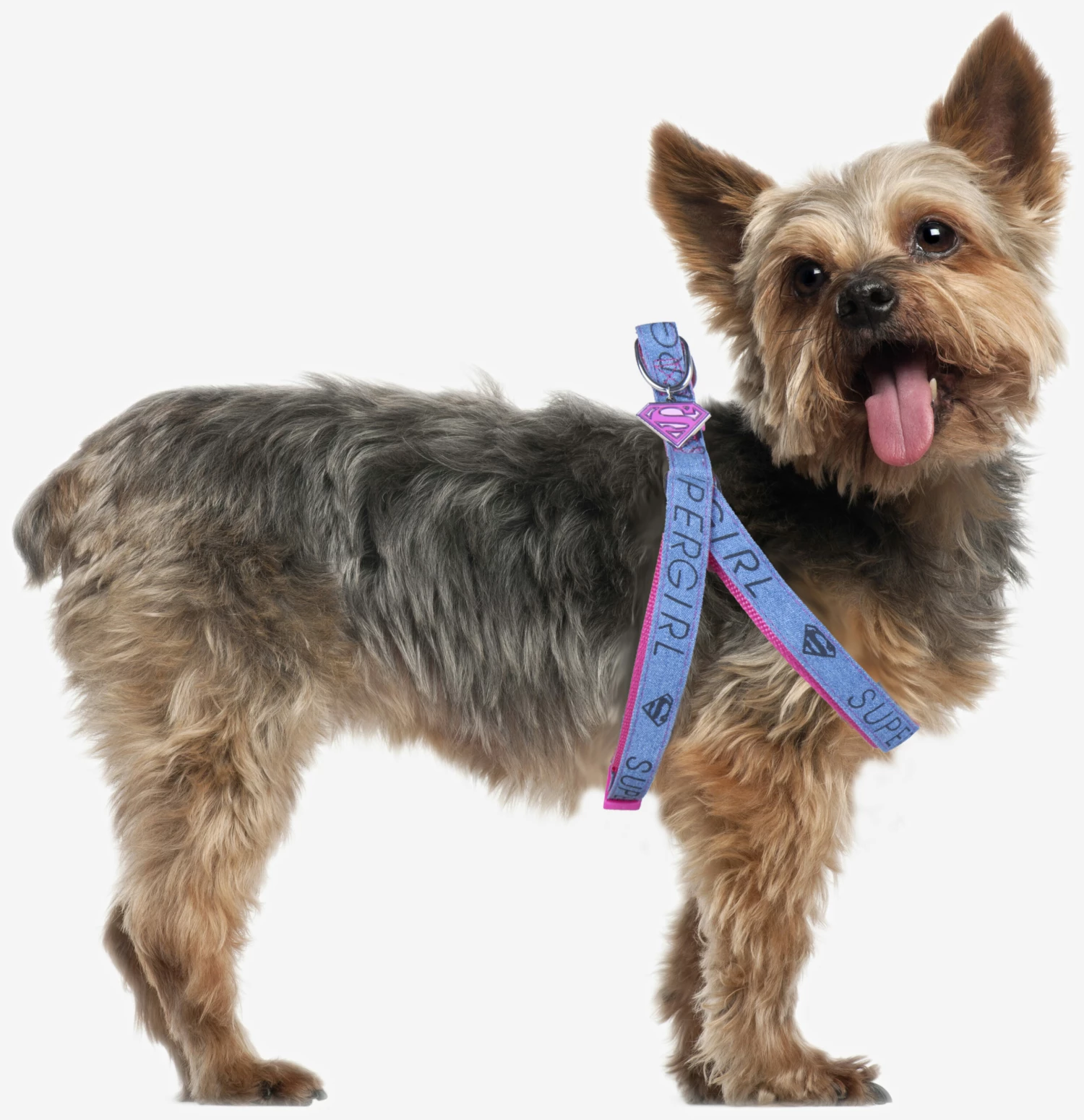 For Fan Pets Harnais Supergirl/ Petral 8 For Fan Pets Harnais Supergirl/ Petral – Image 6