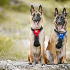 Julius K9 Arnes IDC Longwalk Bleu 8 Julius K9 Arnes IDC Longwalk Bleu -Trixie Soldes Magasin arneses IDC para perros 64786e00eecfd