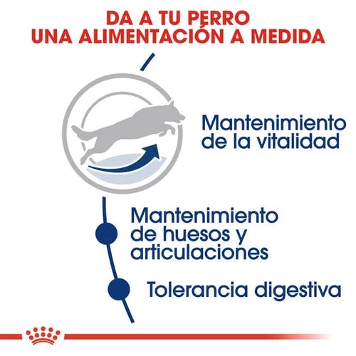 Royal Canin Tourteau Maxi Adult +5 9 Royal Canin Tourteau Maxi Adult +5 – Image 7