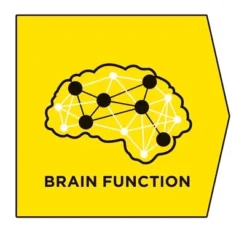 Pro Plan Veterinary Diets Pienso Nc Neurocare Para Perros Adultos Y Sénior 18 Pro Plan Veterinary Diets Pienso Nc Neurocare Para Perros Adultos Y Sénior -Trixie Soldes Magasin beneficios 6368f12ce14a0