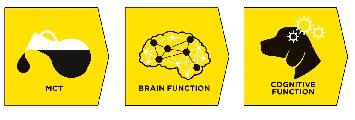 Pro Plan Veterinary Diets Pienso Nc Neurocare Para Perros Adultos Y Sénior 10 Pro Plan Veterinary Diets Pienso Nc Neurocare Para Perros Adultos Y Sénior – Image 8