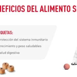 Royal Canin Labrador Retriever Puppy Aliment Pour Chiots -Trixie Soldes Magasin beneficios royal canin pienso puppy 6436c2071460f