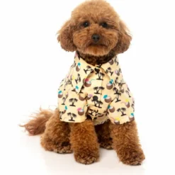FuzzYard Chemise Hawaïenne Sandy Coconut Pour Chien 6 FuzzYard Chemise Hawaïenne Sandy Coconut Pour Chien -Trixie Soldes Magasin camiseta hawaiana perro fuzzyard 6491b7942aafe