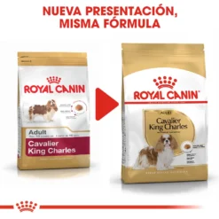 Royal Canin Cavalier King Charles Adult -Trixie Soldes Magasin cavalier king charles adult 6