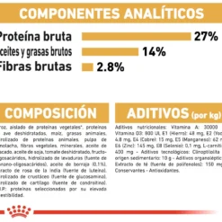 Royal Canin Cavalier King Charles Adult -Trixie Soldes Magasin cavalier king charles adult 8