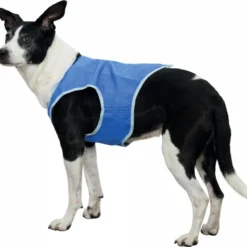 Pawise Gilet Rafraîchissant -Trixie Soldes Magasin chaleco refrescante para perro 63346b0bee729