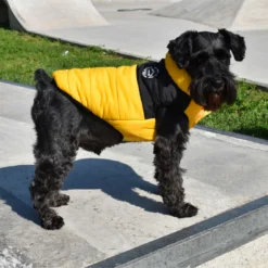Nayeco Outing Jacket Mustard For Dogs -Trixie Soldes Magasin chaqueta para perro mostaza 63288f4cc99ea