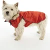 Kruuse Manteau Pour Chien Buster Active Rouge -Trixie Soldes Magasin chaqueta roja para perro 634537356d8a4