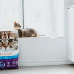 Intersand Litière Agglomérante Classic Forêt Nordique 8 Intersand Litière Agglomérante Classic Forêt Nordique -Trixie Soldes Magasin classic bosque nordico aglomerante 2