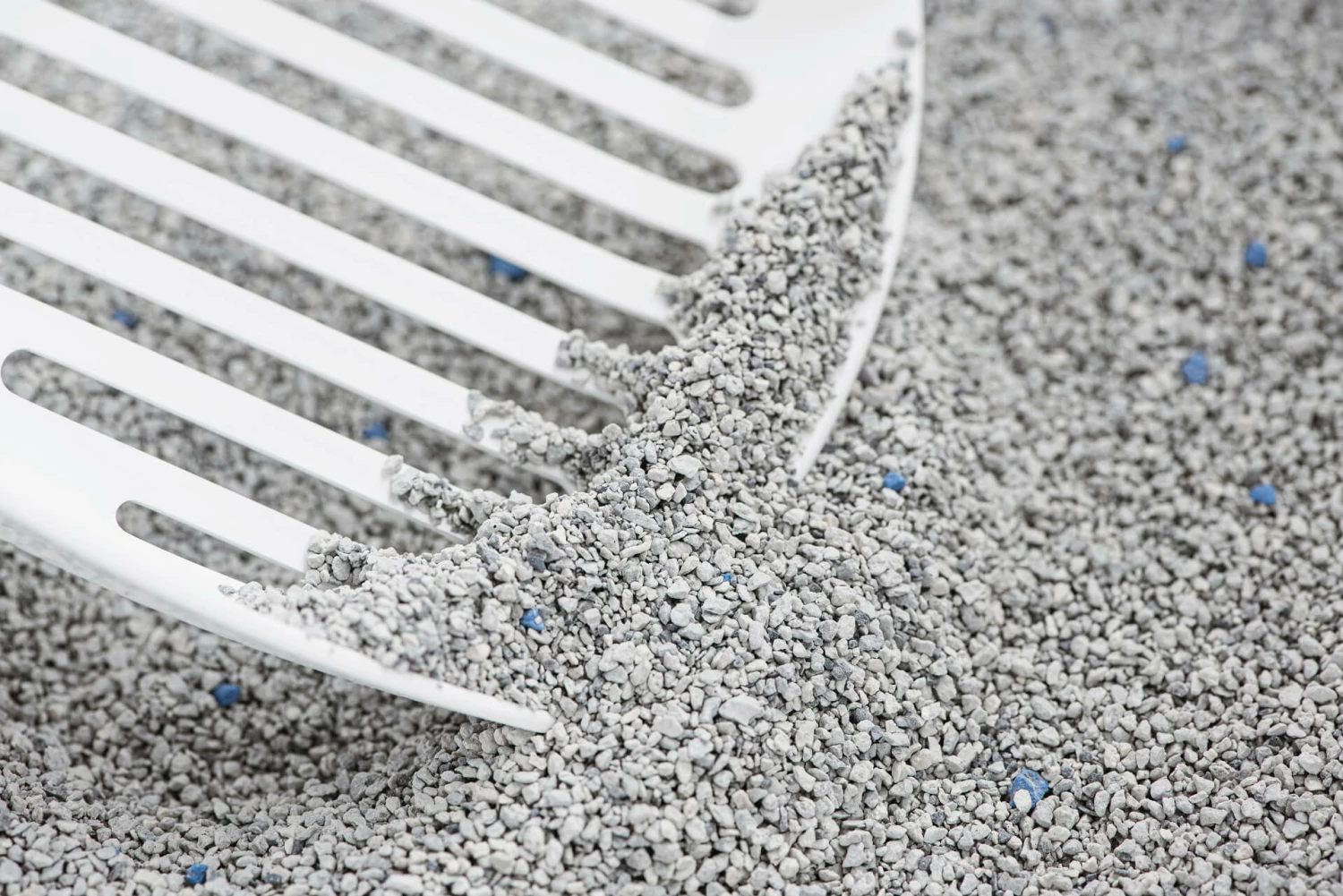 Intersand Litière Agglomérante Classic Forêt Nordique 4 Intersand Litière Agglomérante Classic Forêt Nordique – Image 2