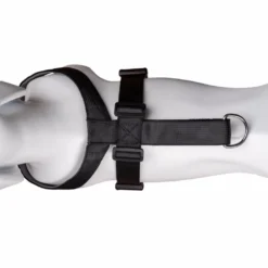 The Company Of Animals Harnais Car Safe Pour Chiens -Trixie Soldes Magasin coa29021b 3 624ebb227e33f