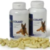 VetPlus Colaid Pour Les Problèmes Gastro-intestinaux Chez Le Chien 1 VetPlus Colaid Pour Les Problèmes Gastro-intestinaux Chez Le Chien -Trixie Soldes Magasin colaid para problemas gastrointestinales en perros 1