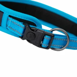 Freedog Collier Boreal Blue Capri Pour Chiens -Trixie Soldes Magasin collar azul boreal freedog 6477611c7e7db