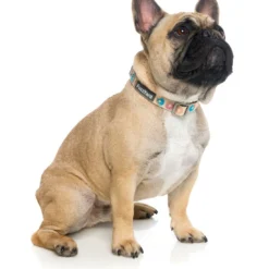 FuzzYard Collier En Néoprène Go Nuts 5 FuzzYard Collier En Néoprène Go Nuts -Trixie Soldes Magasin collar de neopreno go nuts 2