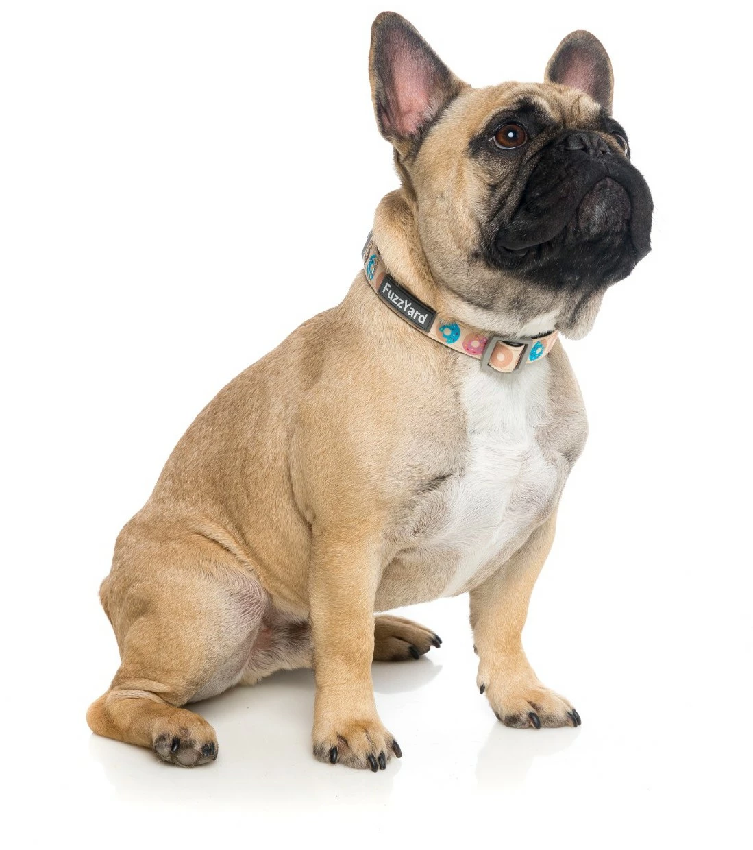 FuzzYard Collier En Néoprène Go Nuts 4 FuzzYard Collier En Néoprène Go Nuts – Image 2