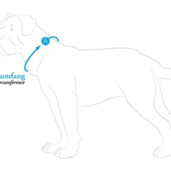 Hunter Collier Vario Basic -Trixie Soldes Magasin collar hunter 62ac7083eeda3